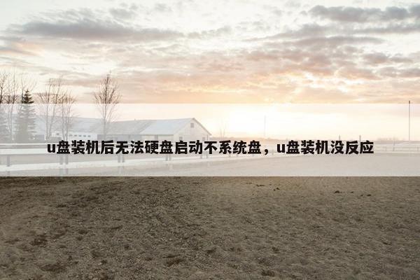 u盘装机后无法硬盘启动不系统盘，u盘装机没反应