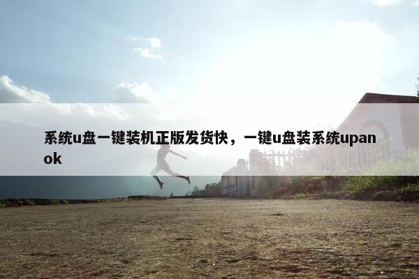 系统u盘一键装机正版发货快，一键u盘装系统upanok