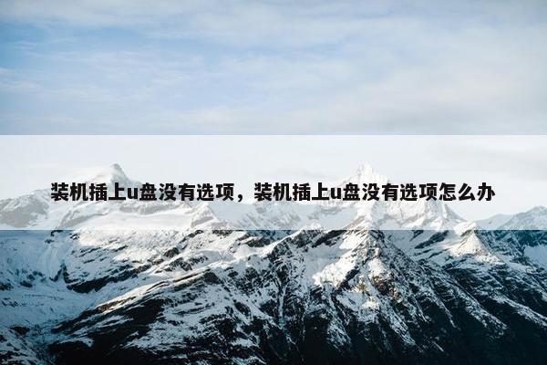 装机插上u盘没有选项，装机插上u盘没有选项怎么办