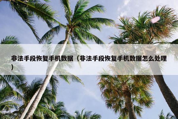非法手段恢复手机数据（非法手段恢复手机数据怎么处理）