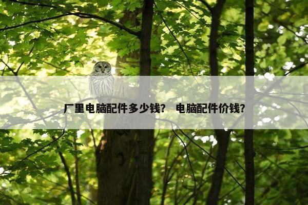 厂里电脑配件多少钱？ 电脑配件价钱？