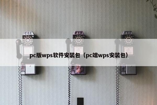 pc版wps软件安装包（pc端wps安装包）