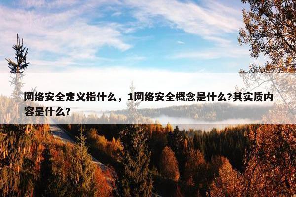 网络安全定义指什么，1网络安全概念是什么?其实质内容是什么?