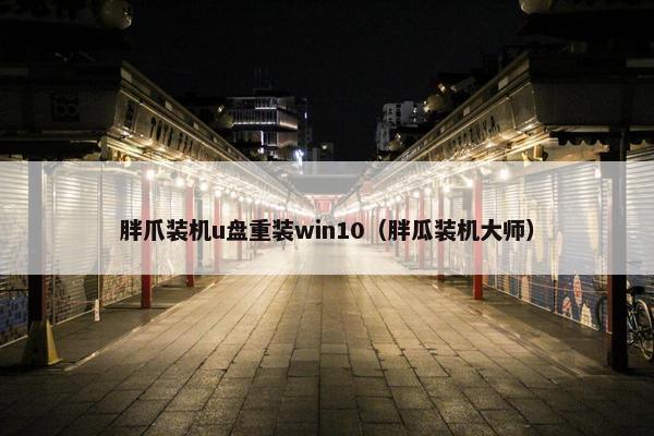 胖爪装机u盘重装win10（胖瓜装机大师）