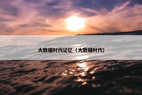 大数据时代记忆（大数据时代）