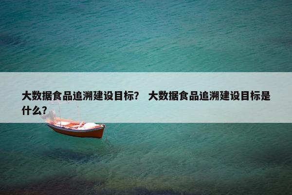 大数据食品追溯建设目标？ 大数据食品追溯建设目标是什么？