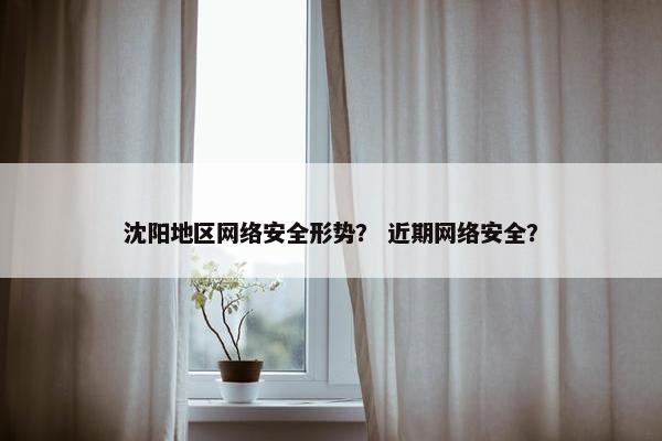 沈阳地区网络安全形势？ 近期网络安全？