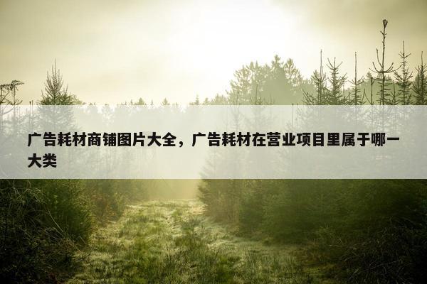 广告耗材商铺图片大全，广告耗材在营业项目里属于哪一大类