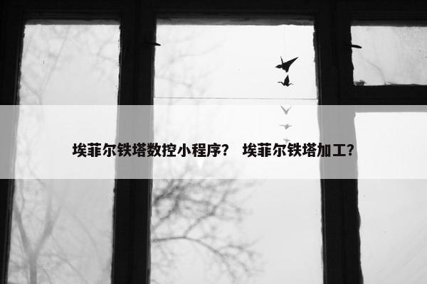 埃菲尔铁塔数控小程序？ 埃菲尔铁塔加工？