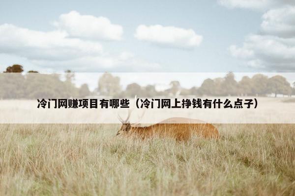 冷门网赚项目有哪些（冷门网上挣钱有什么点子）