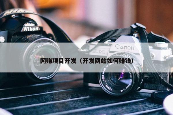 网赚项目开发（开发网站如何赚钱）