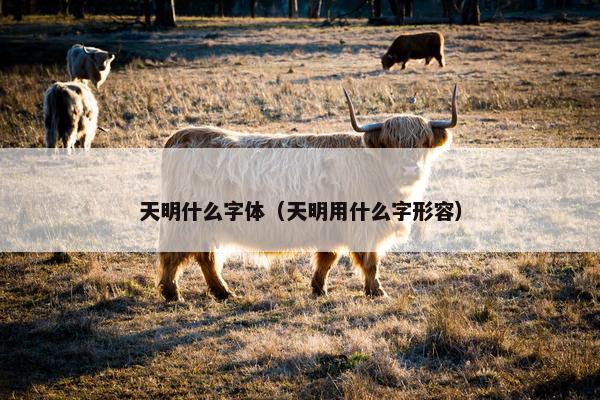 天明什么字体（天明用什么字形容）