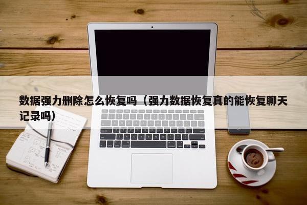 数据强力删除怎么恢复吗（强力数据恢复真的能恢复聊天记录吗）