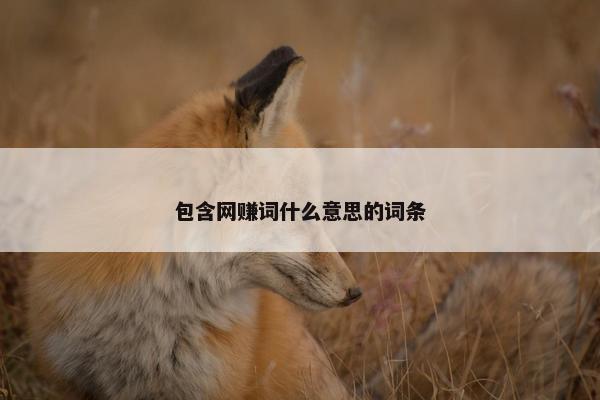 包含网赚词什么意思的词条