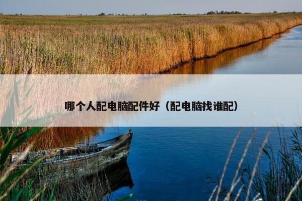 哪个人配电脑配件好（配电脑找谁配）