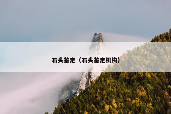 石头鉴定（石头鉴定机构）