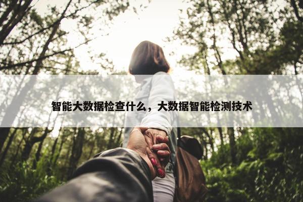 智能大数据检查什么，大数据智能检测技术