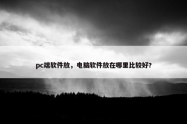 pc端软件放，电脑软件放在哪里比较好?