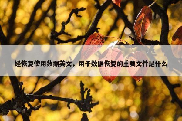 经恢复使用数据英文，用于数据恢复的重要文件是什么
