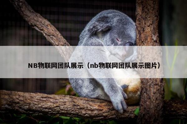 NB物联网团队展示（nb物联网团队展示图片）
