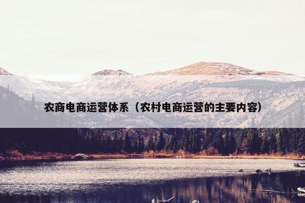 农商电商运营体系（农村电商运营的主要内容）