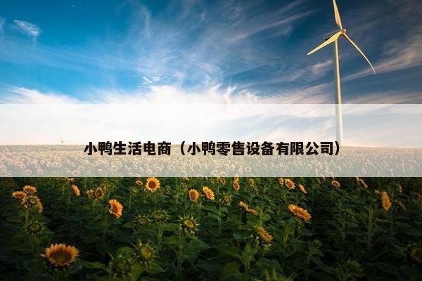 小鸭生活电商（小鸭零售设备有限公司）