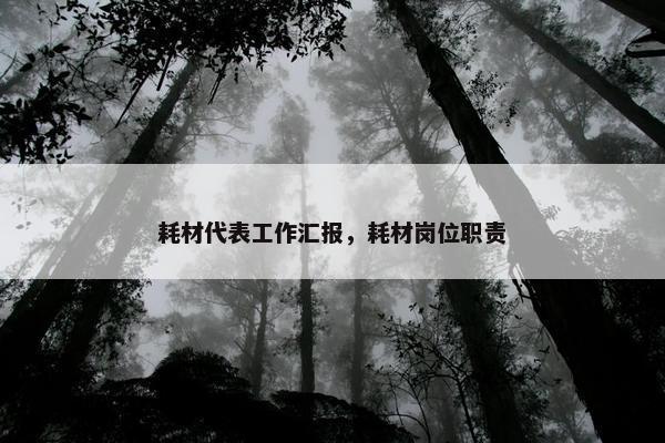 耗材代表工作汇报，耗材岗位职责
