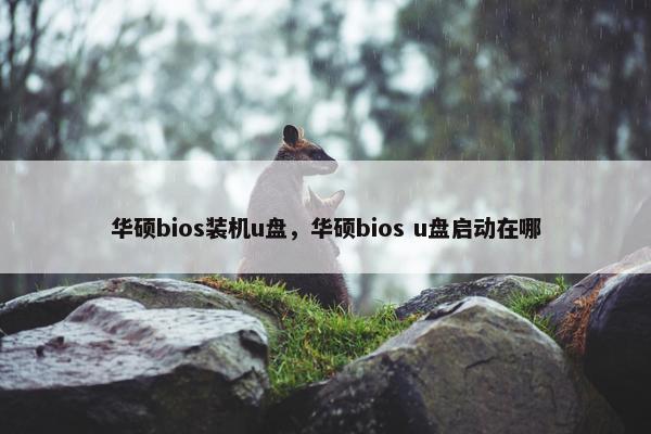 华硕bios装机u盘，华硕bios u盘启动在哪