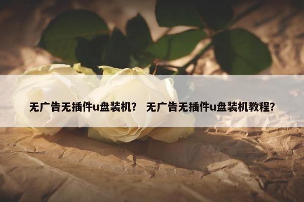 无广告无插件u盘装机？ 无广告无插件u盘装机教程？