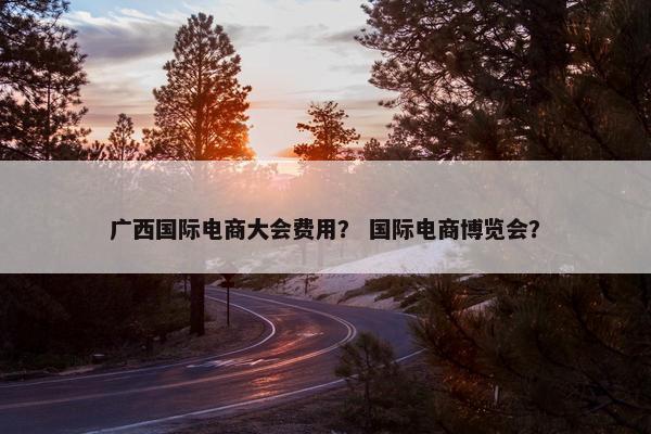 广西国际电商大会费用？ 国际电商博览会？