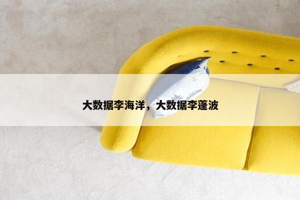 大数据李海洋，大数据李蓬波
