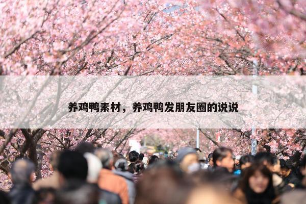 养鸡鸭素材，养鸡鸭发朋友圈的说说