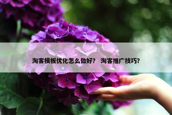 淘客模板优化怎么做好？ 淘客推广技巧？