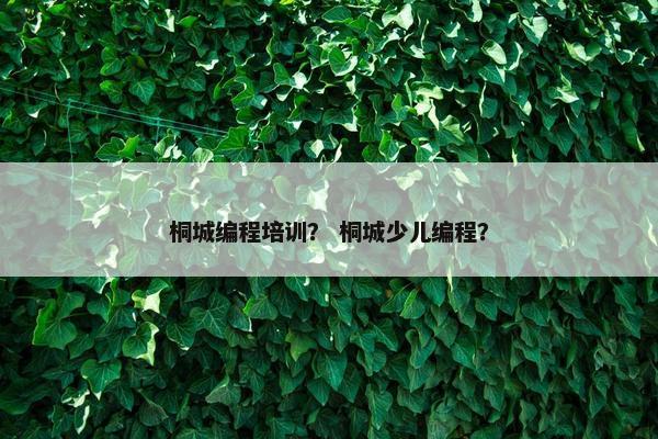 桐城编程培训？ 桐城少儿编程？