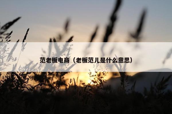 范老板电商（老板范儿是什么意思）