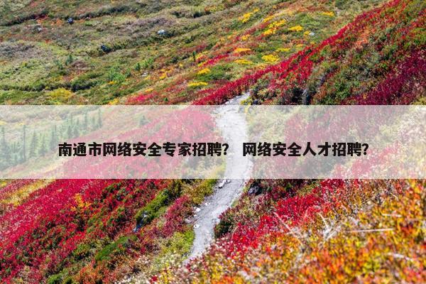 南通市网络安全专家招聘？ 网络安全人才招聘？