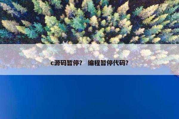 c源码暂停？ 编程暂停代码？
