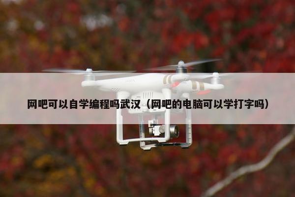 网吧可以自学编程吗武汉（网吧的电脑可以学打字吗）