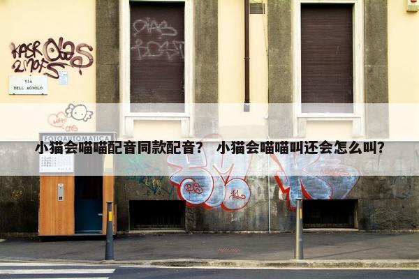 小猫会喵喵配音同款配音？ 小猫会喵喵叫还会怎么叫？
