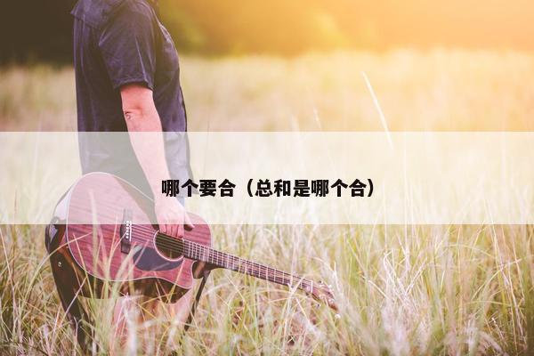 哪个要合（总和是哪个合）