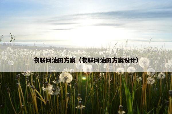 物联网油田方案（物联网油田方案设计）