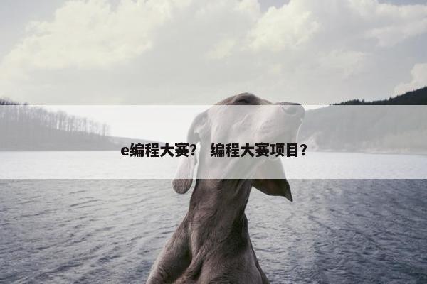e编程大赛？ 编程大赛项目？