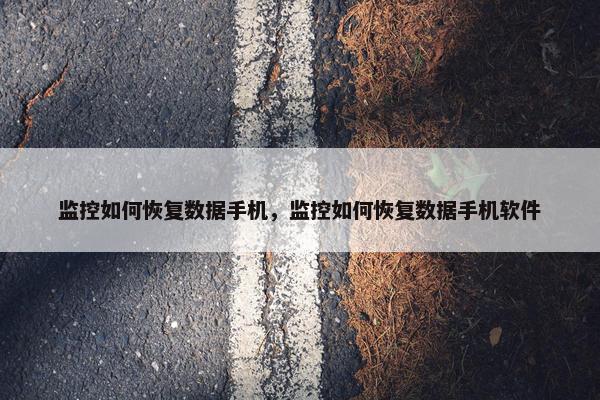 监控如何恢复数据手机，监控如何恢复数据手机软件