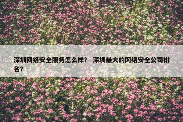 深圳网络安全服务怎么样？ 深圳最大的网络安全公司排名？