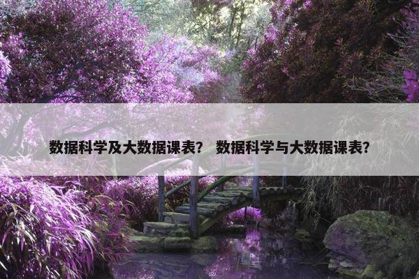 数据科学及大数据课表？ 数据科学与大数据课表？