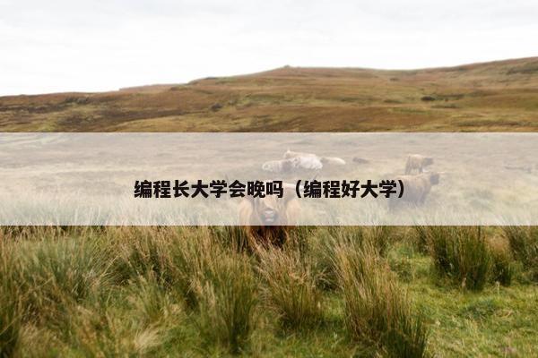 编程长大学会晚吗（编程好大学）