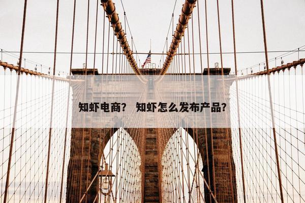 知虾电商？ 知虾怎么发布产品？