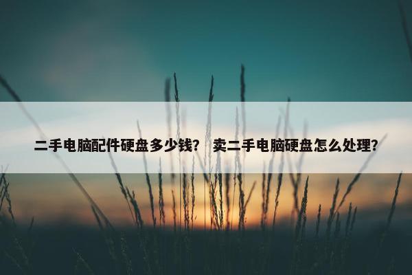 二手电脑配件硬盘多少钱？ 卖二手电脑硬盘怎么处理？