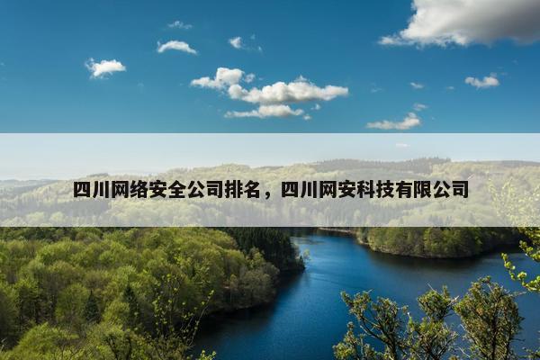 四川网络安全公司排名，四川网安科技有限公司