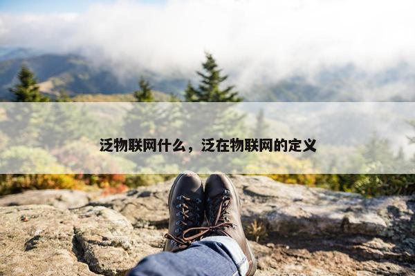 泛物联网什么，泛在物联网的定义